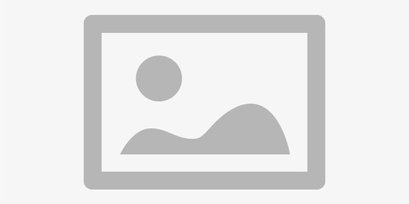 An Image Icon in Grey and White Color